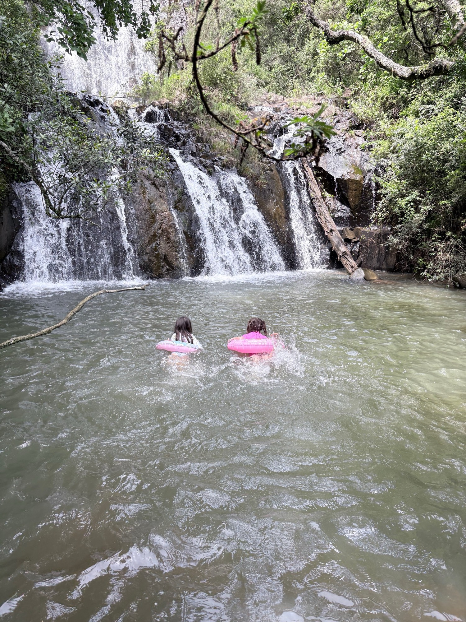 Swimming the waterfall pool